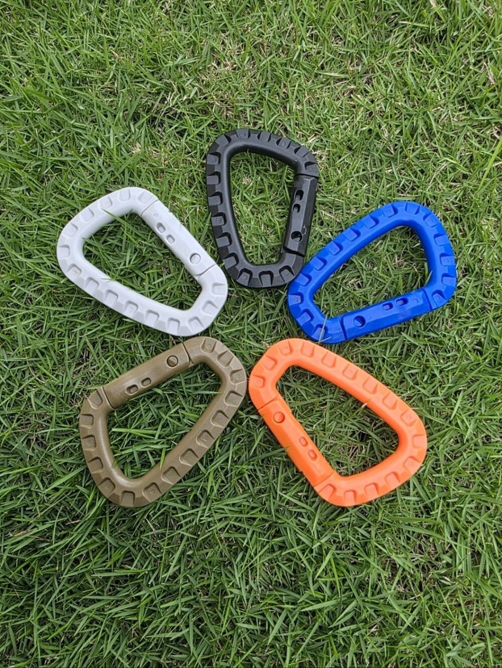 Camping Pcs Carbiner For , Hiking, Climbing Assorted  Colors Box of 12